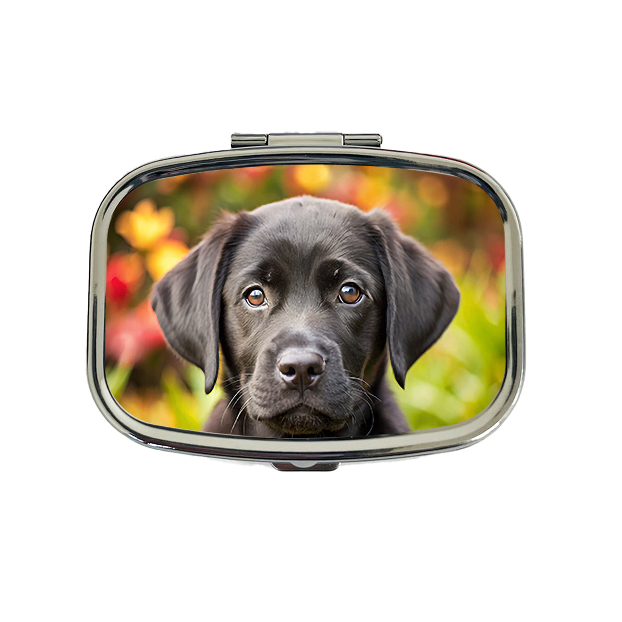 Black Labrador Retriever Dog Puppy Photo Travel Pill Box Case