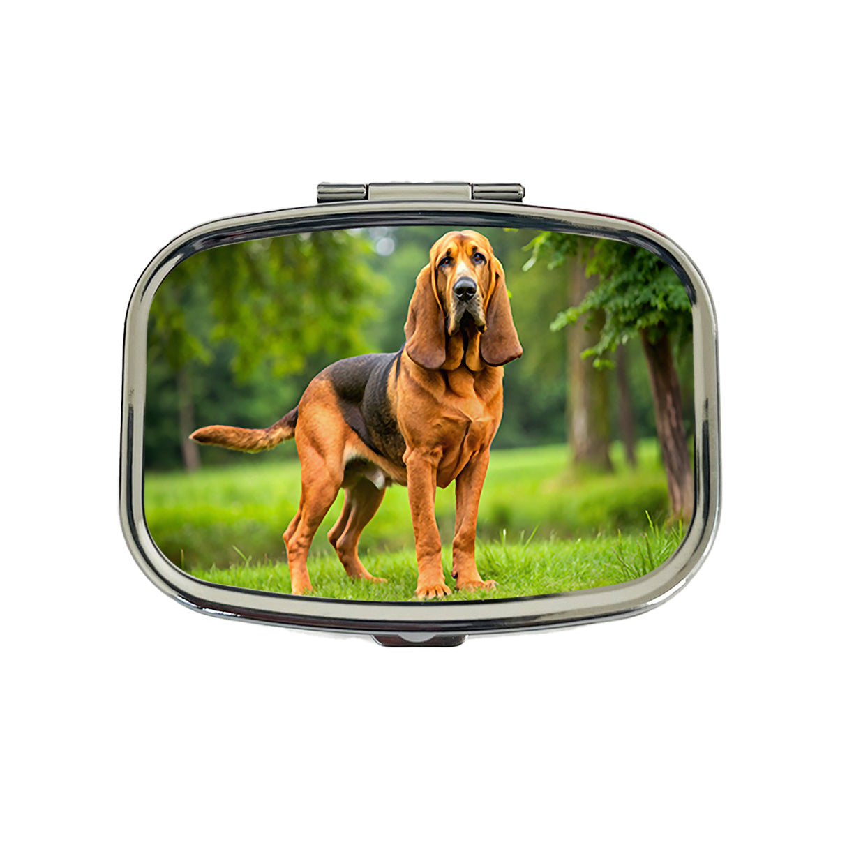 Bloodhound Dog Photo Travel Pill Box Case