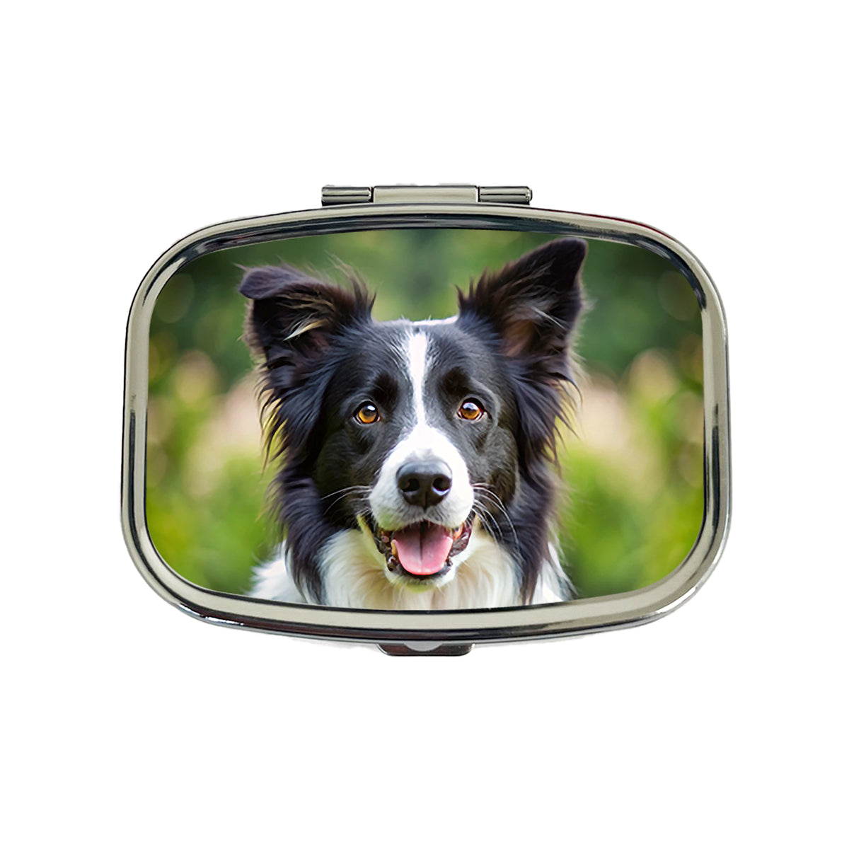Border Collie Dog Photo Travel Pill Box Case