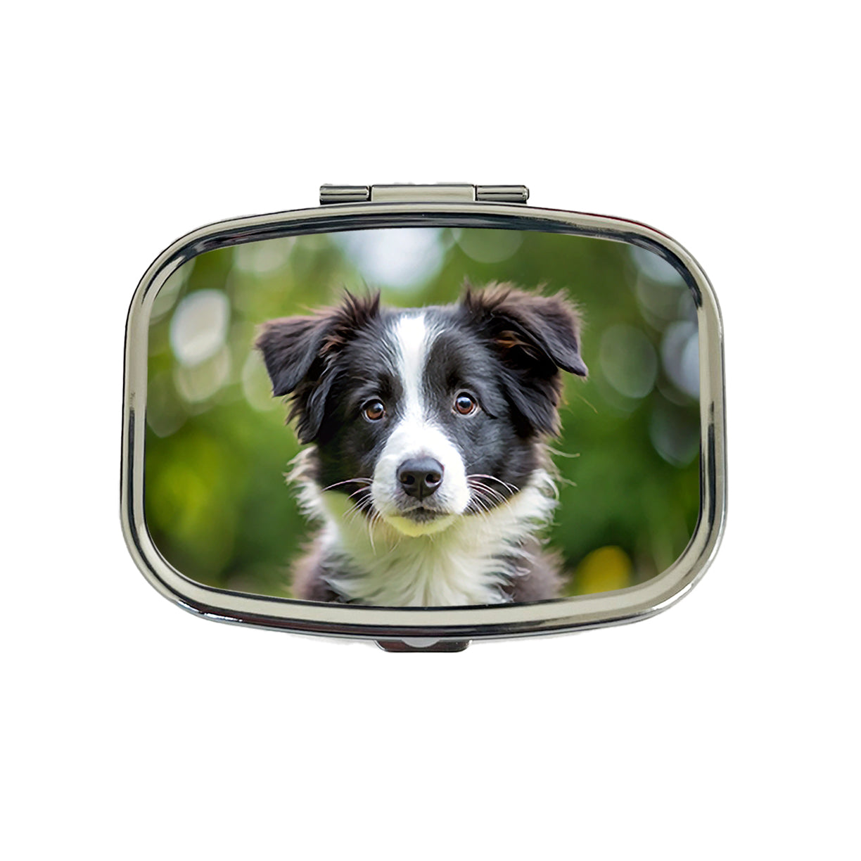 Border Collie Dog Puppy Photo Travel Pill Box Case