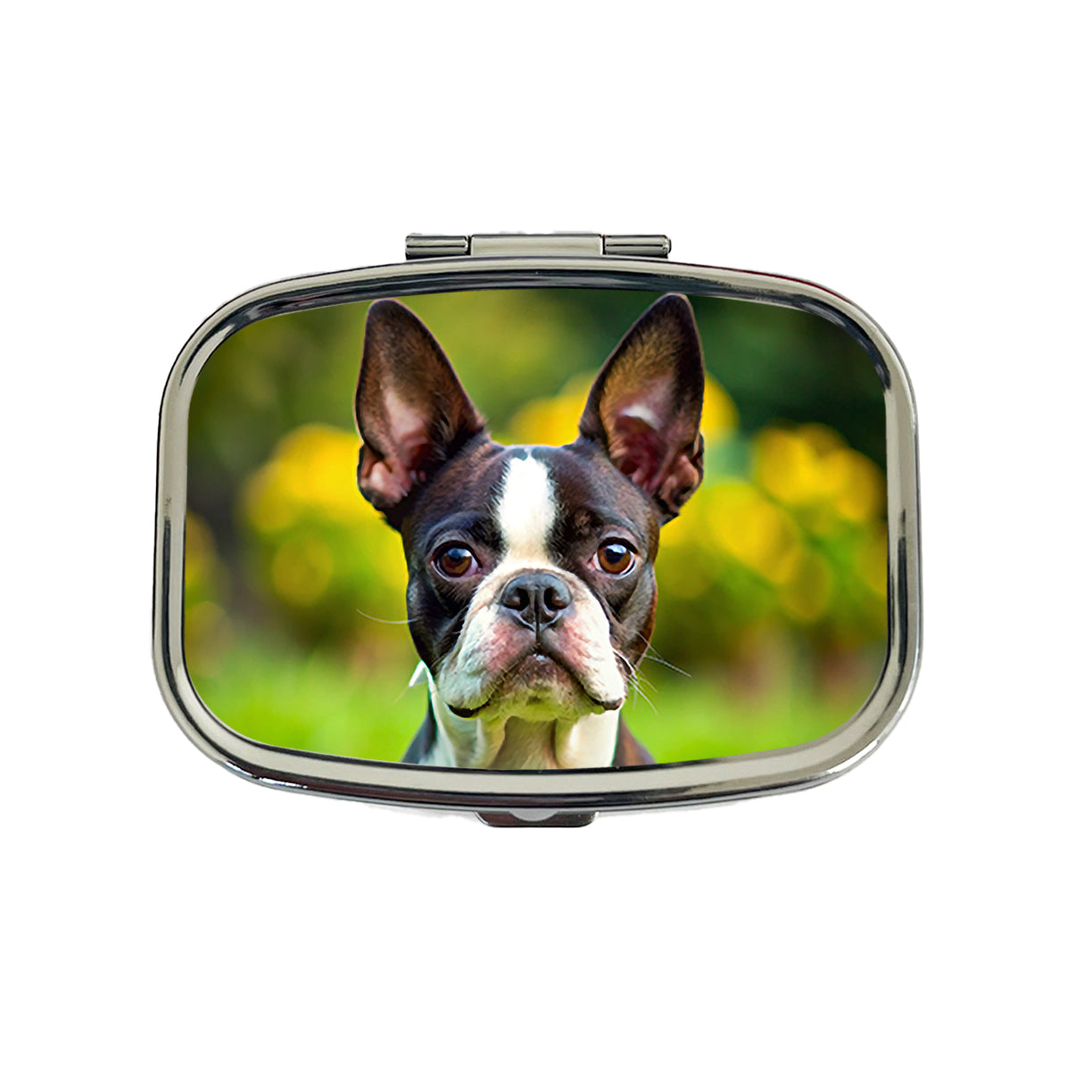 Boston Terrier Dog Photo Travel Pill Box Case