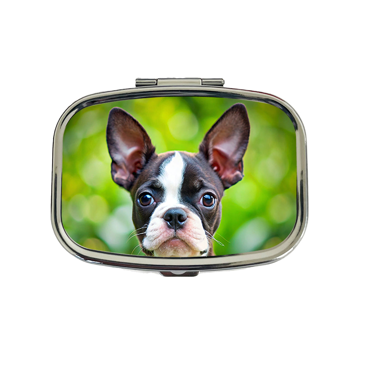 Boston Terrier Dog Puppy Photo Travel Pill Box Case