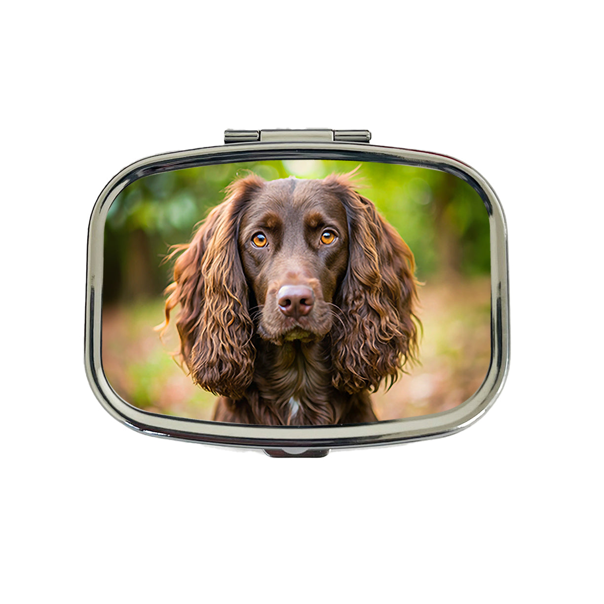 Boykin Spaniel Dog Photo Travel Pill Box Case