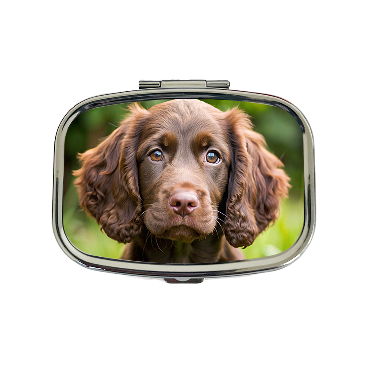 Boykin Spaniel Dog Puppy Photo Travel Pill Box Case