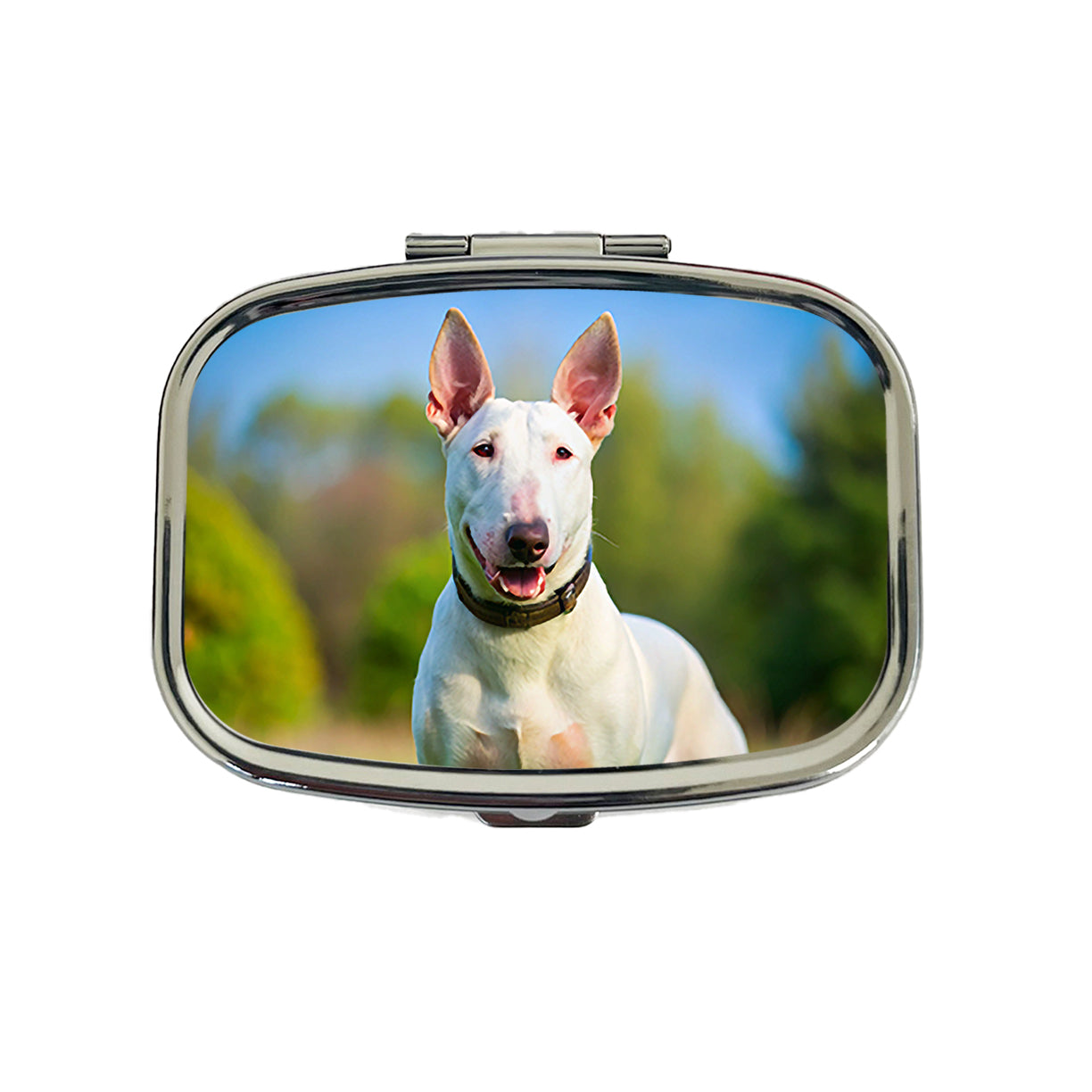 Bull Terrier Dog Photo Travel Pill Box Case