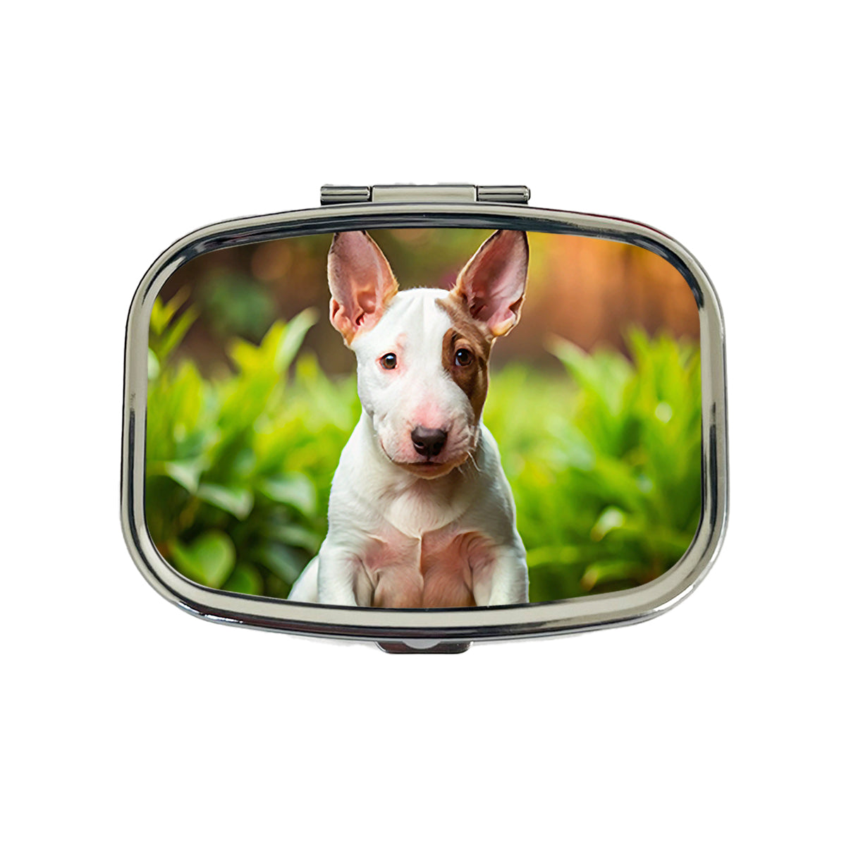 Bull Terrier Dog Puppy Photo Travel Pill Box Case