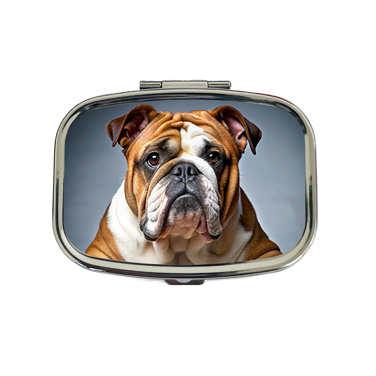 Bulldog Dog Photo Travel Pill Box Case