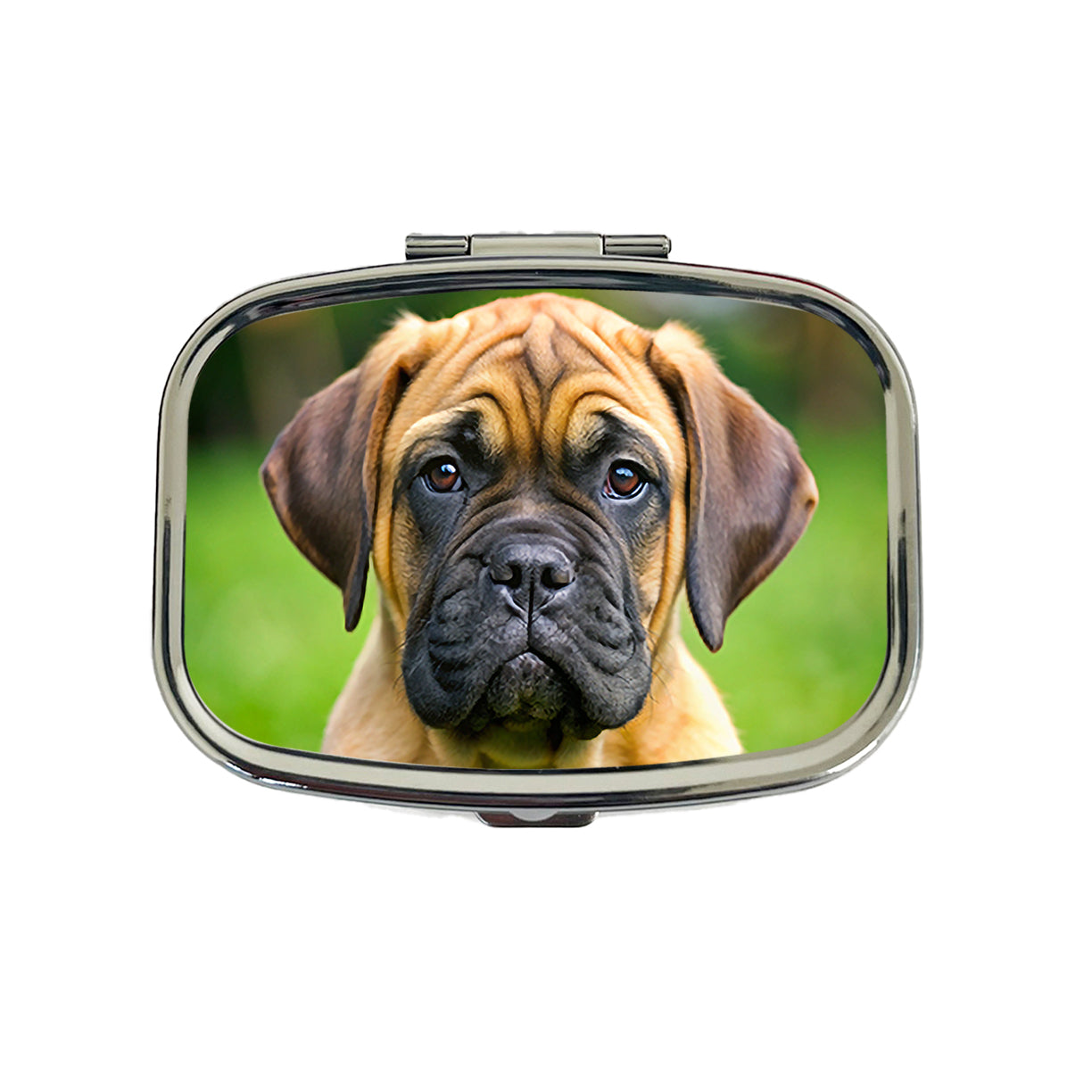 Bullmastiff Dog Puppy Photo Travel Pill Box Case