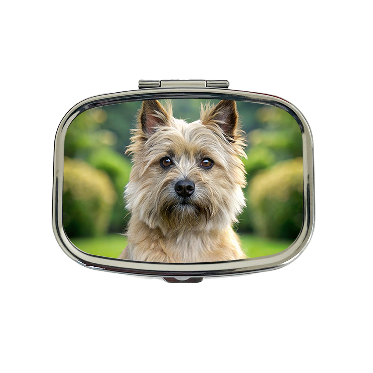 Cairn Terrier Dog Photo Travel Pill Box Case