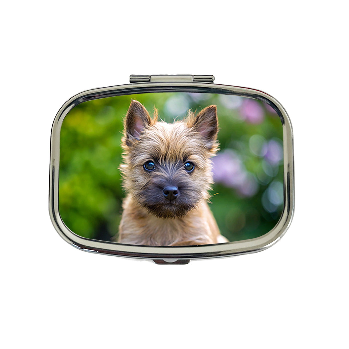 Cairn Terrier Dog Puppy Photo Travel Pill Box Case