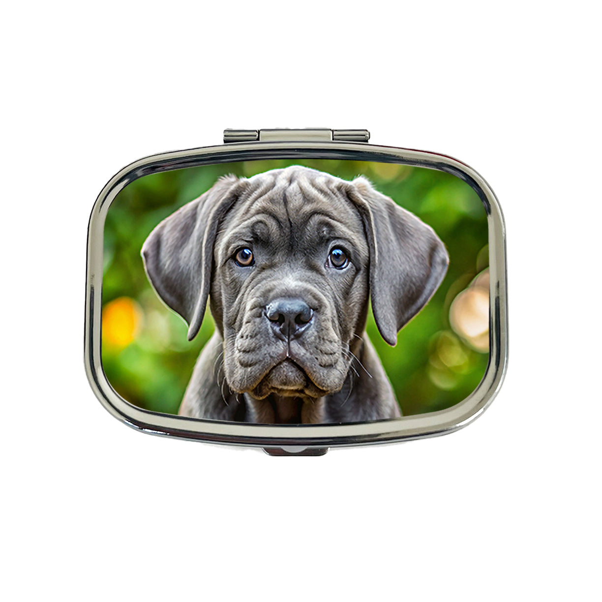 Cane Corso Dog Puppy Photo Travel Pill Box Case
