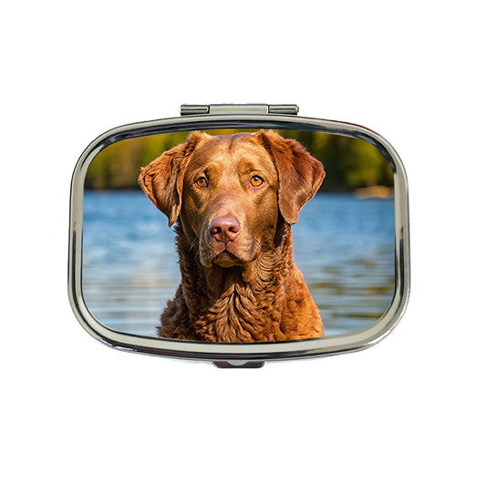 Chesapeake Bay Retriever Dog Photo Travel Pill Box Case