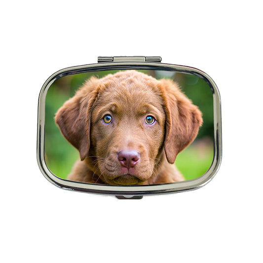 Chesapeake Bay Retriever Dog Puppy Photo Travel Pill Box Case