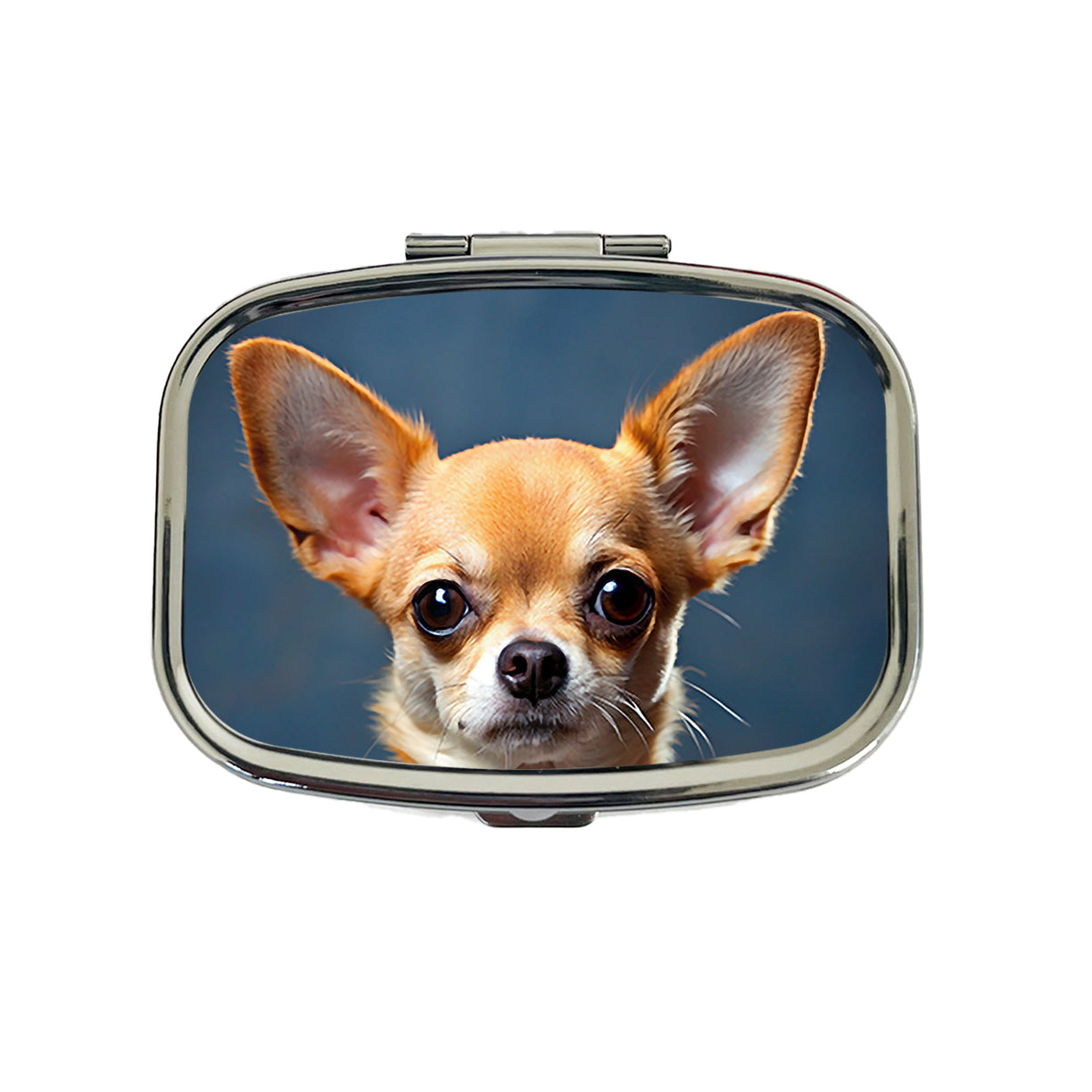 Chihuahua Dog Photo Travel Pill Box Case