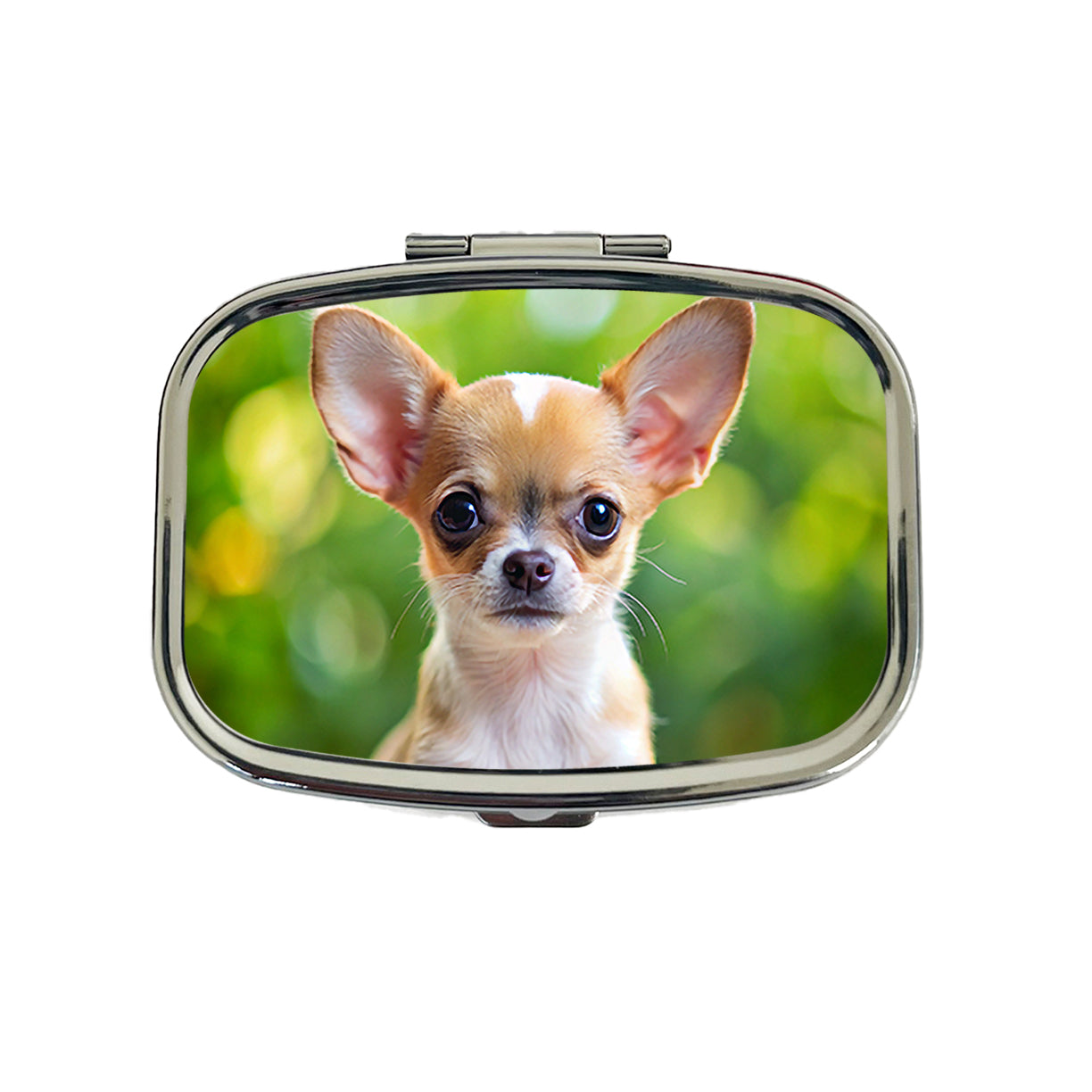 Chihuahua Dog Puppy Photo Travel Pill Box Case