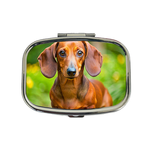 Dachshund Dog Photo Travel Pill Box Case