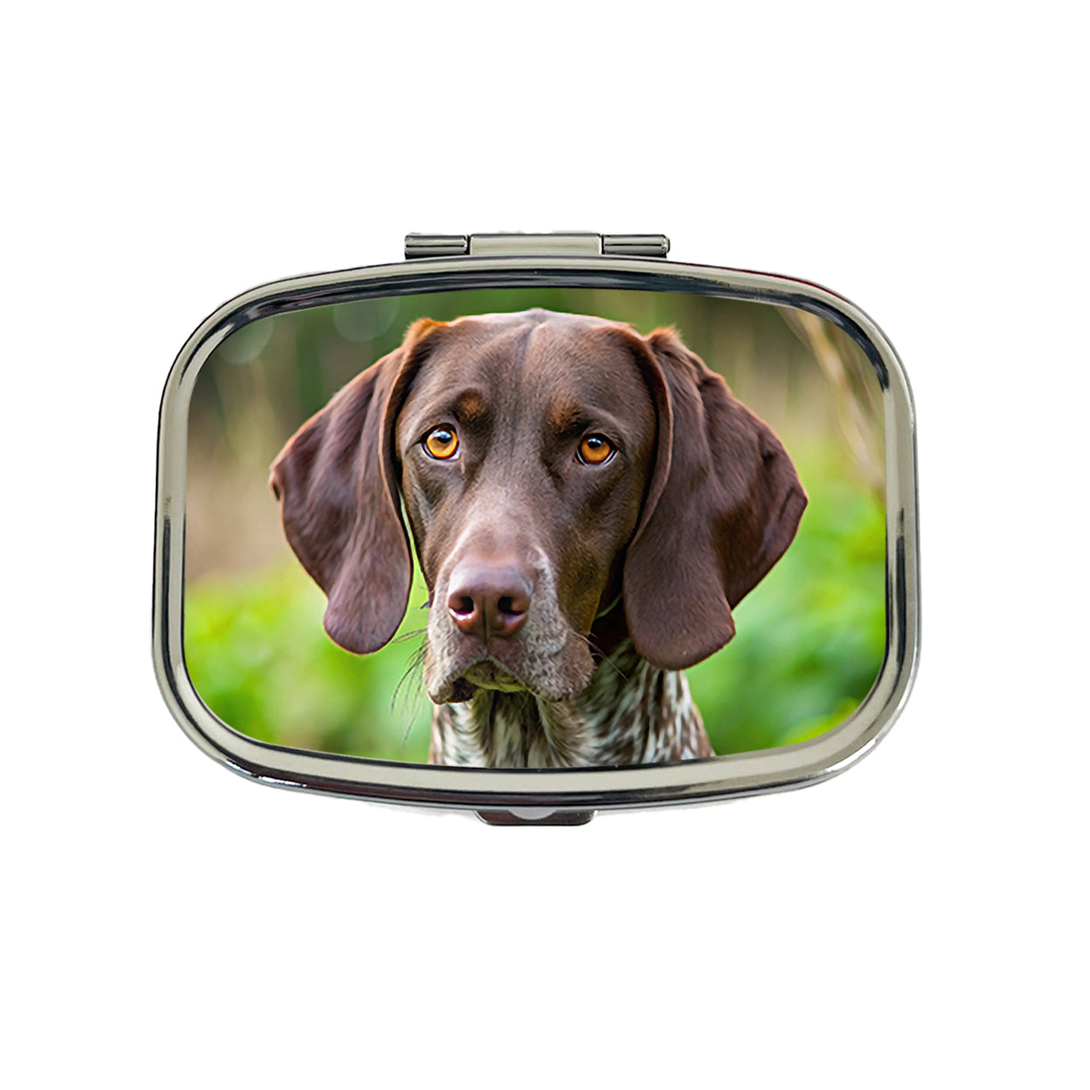 German Shorthaired Pointer Dog Photo Travel Pill Box Case