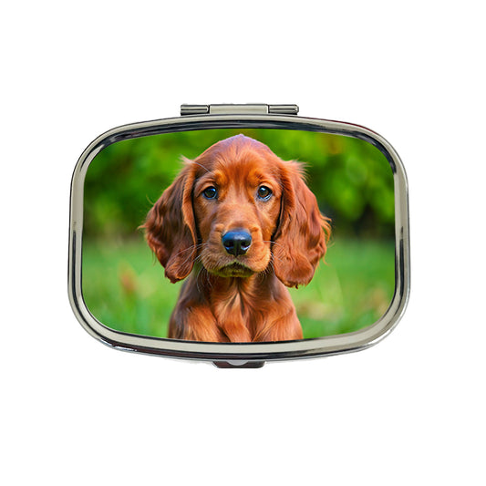 Irish Setter Dog Puppy Photo Travel Pill Box Case