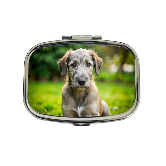 Irish Wolfhound Dog Puppy Photo Travel Pill Box Case