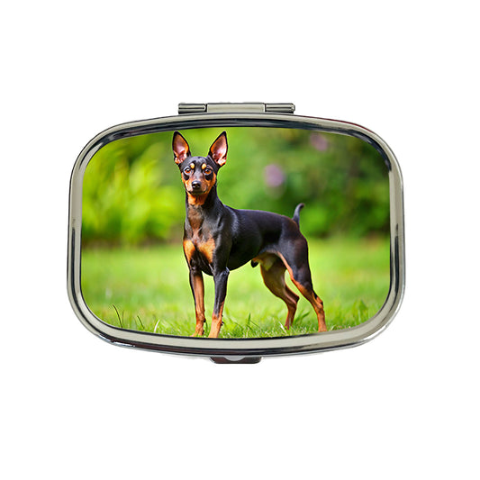 Miniature Pinscher Dog Photo Travel Pill Box Case