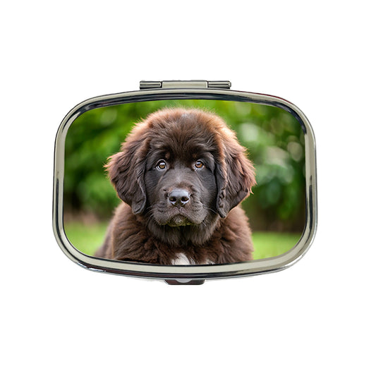 Newfoundland Dog Puppy Photo Travel Pill Box Case
