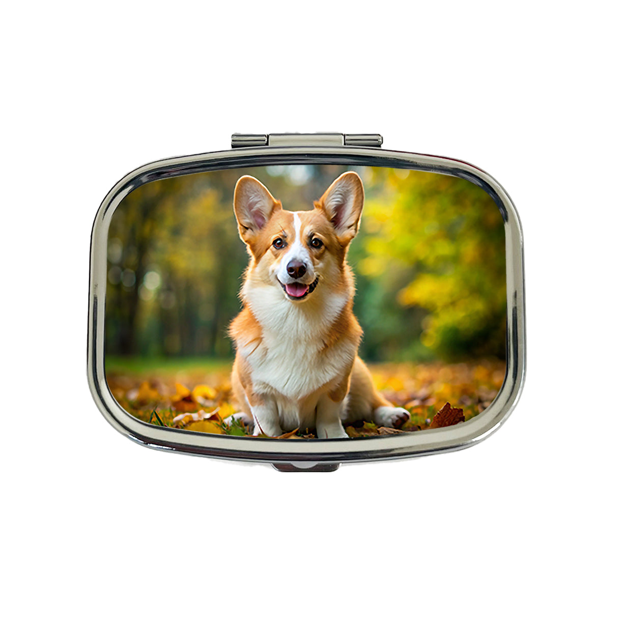 Pembroke Welsh Corgi Dog Photo Travel Pill Box Case