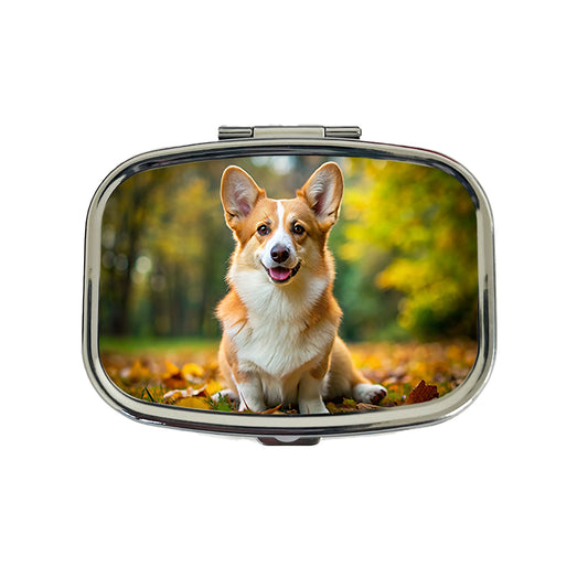Pembroke Welsh Corgi Dog Photo Travel Pill Box Case