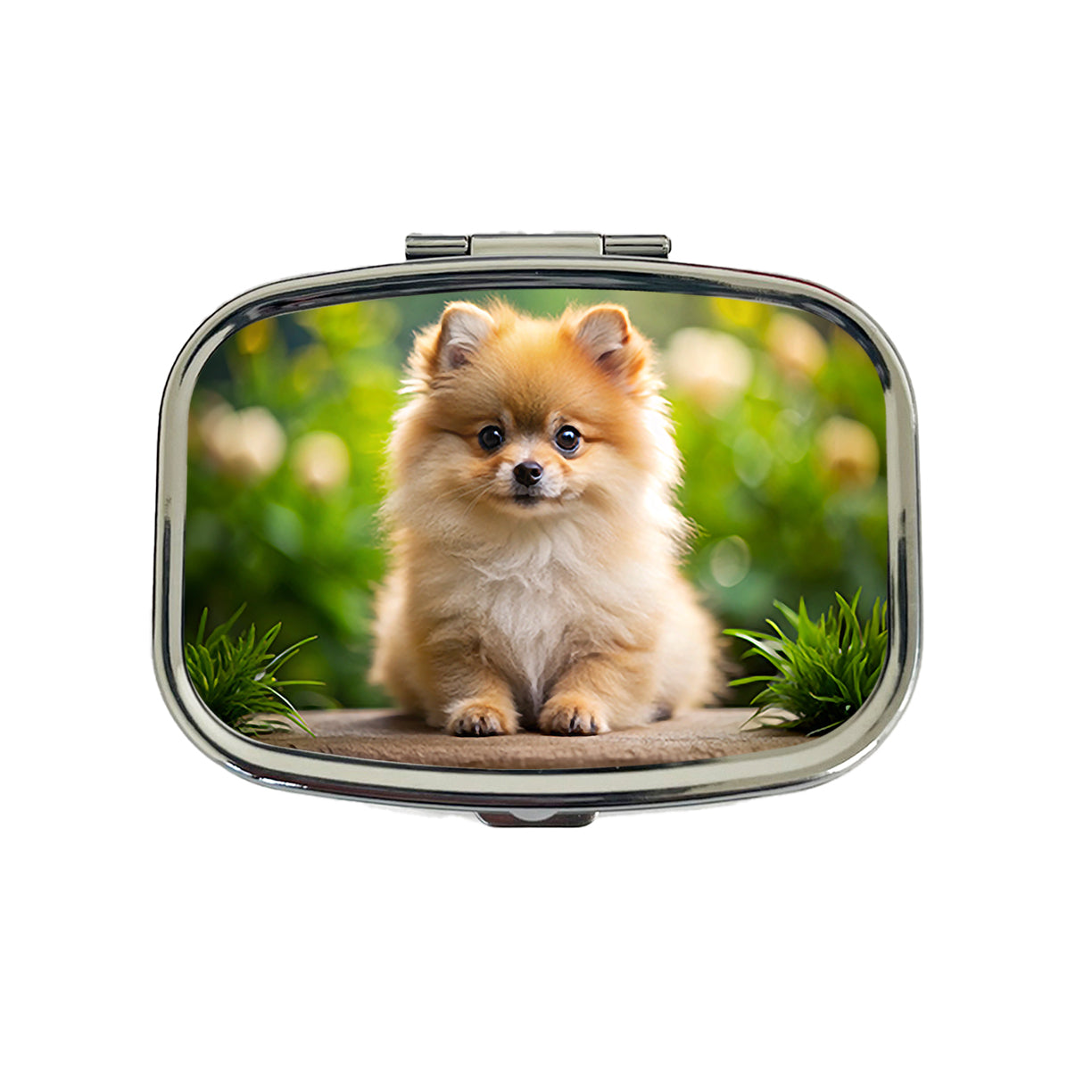 Pomeranian Dog Puppy Photo Travel Pill Box Case