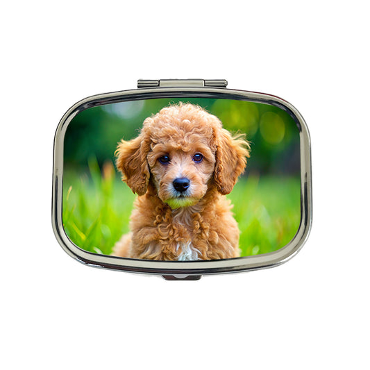 Poodle Dog Puppy Photo Travel Pill Box Case