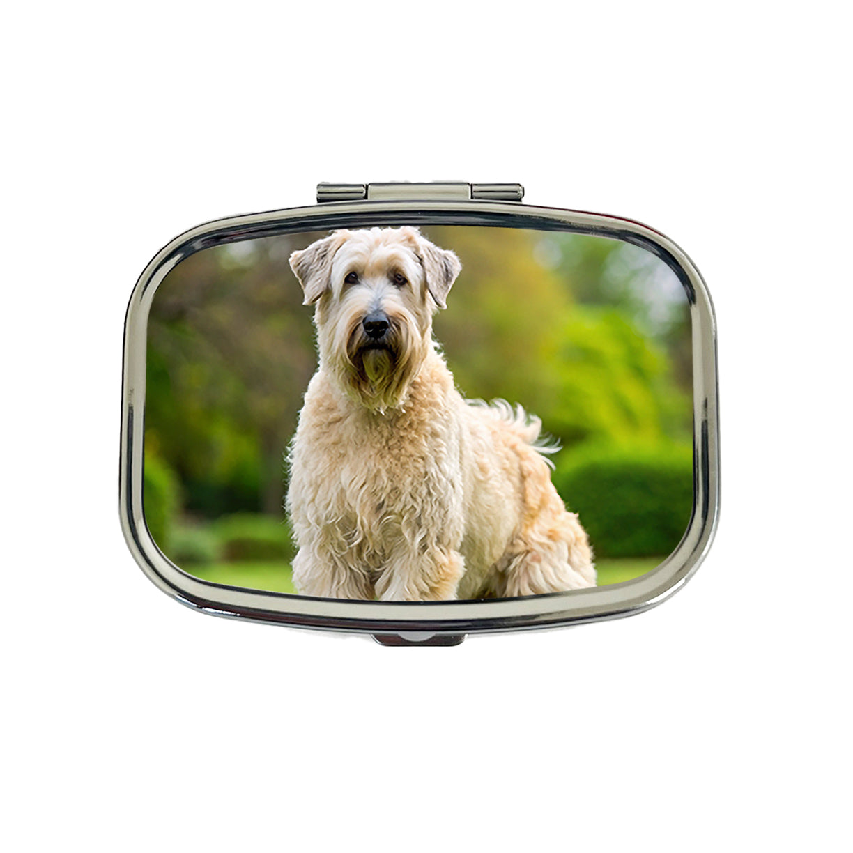 Soft Coated Wheaten Terrier Dog Photo Travel Pill Box Case