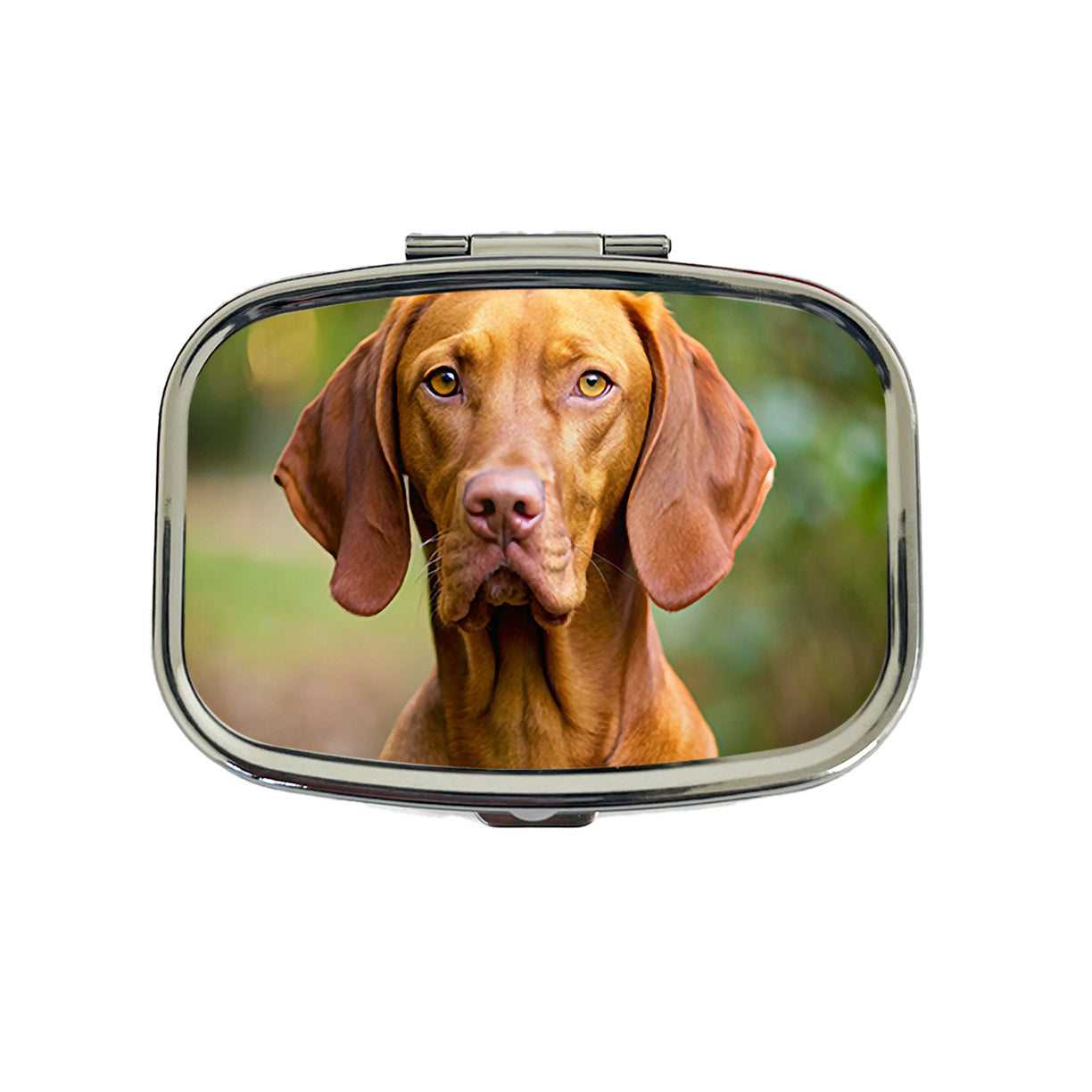 Vizsla Dog Photo Travel Pill Box Case