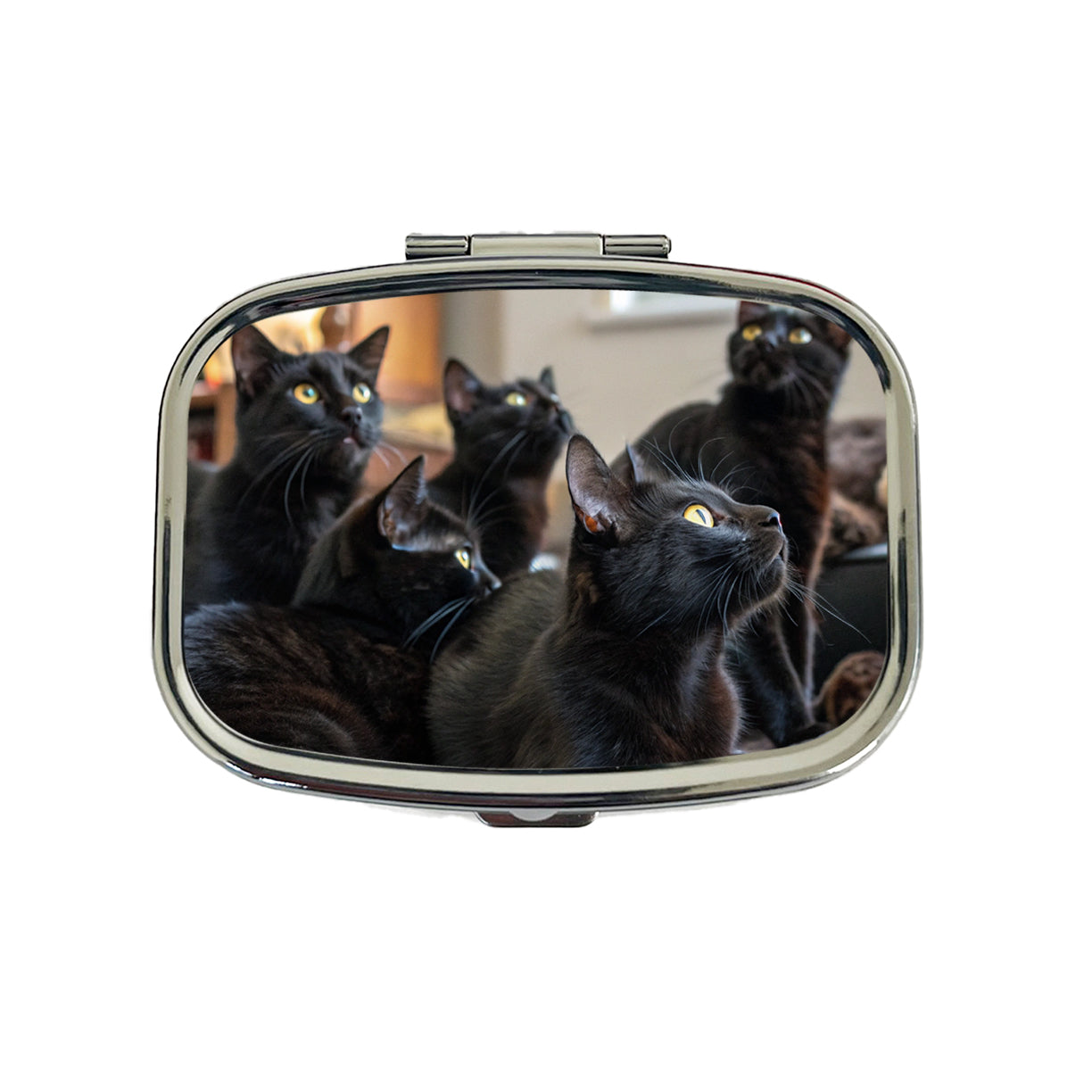 Bunch Of Black Cats Travel Pill Box Case