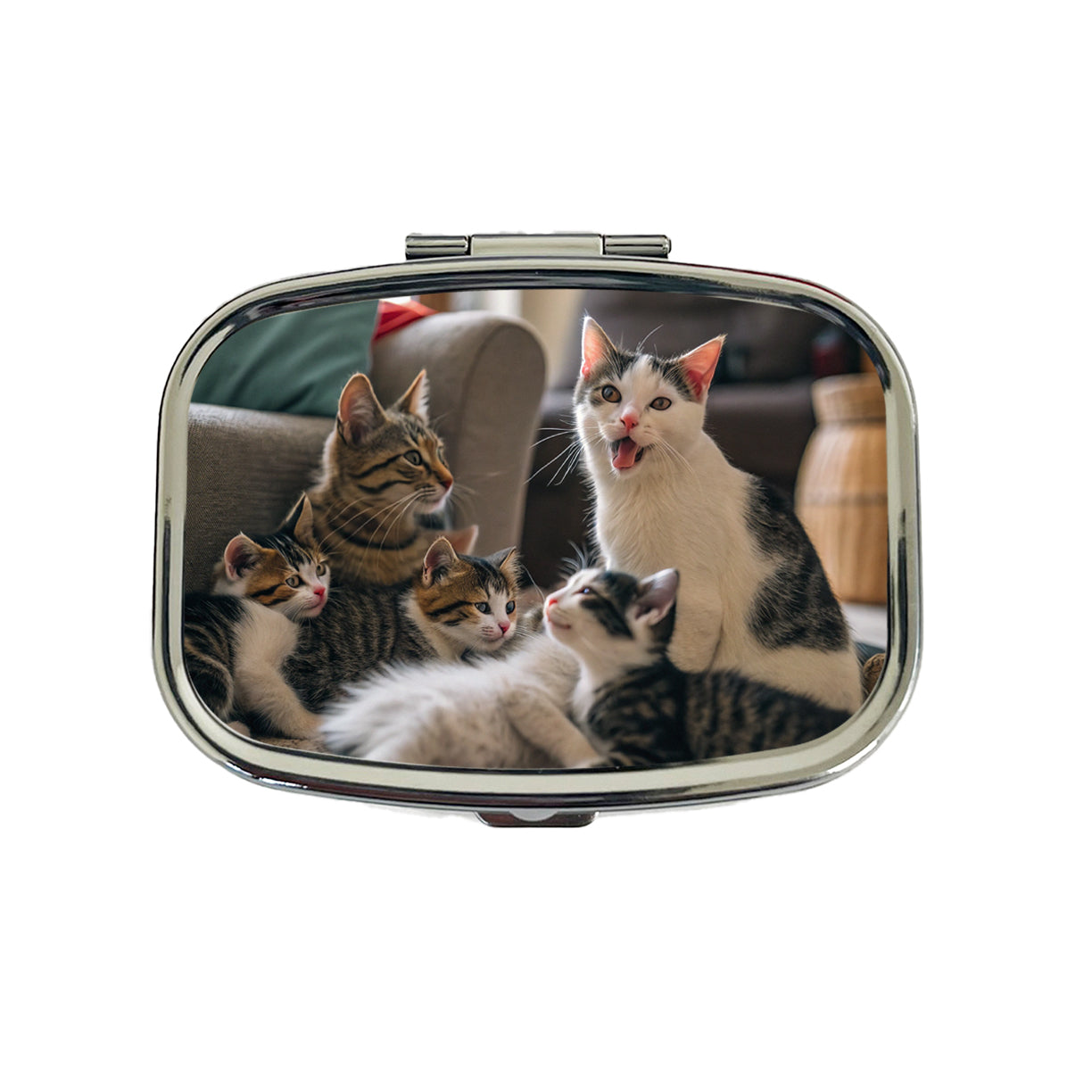 Bunch Of Cats Travel Pill Box Case