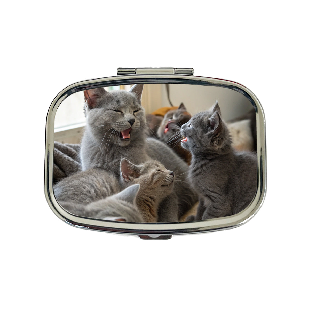 Bunch Of Gray Cats Travel Pill Box Case