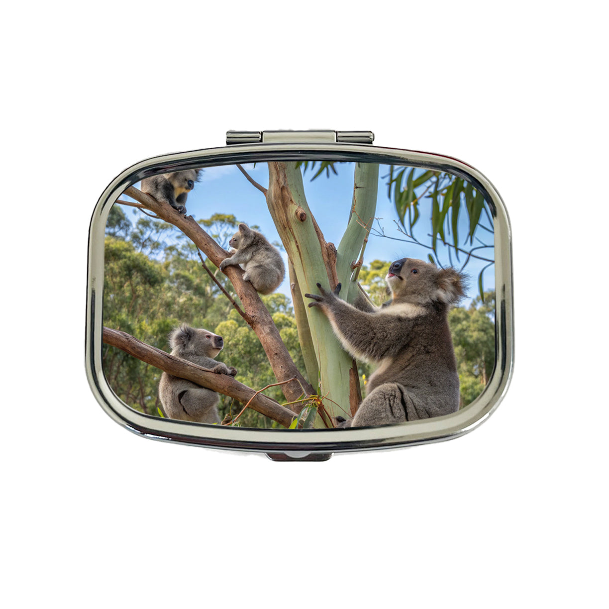 Bunch Of Koalas Travel Pill Box Case