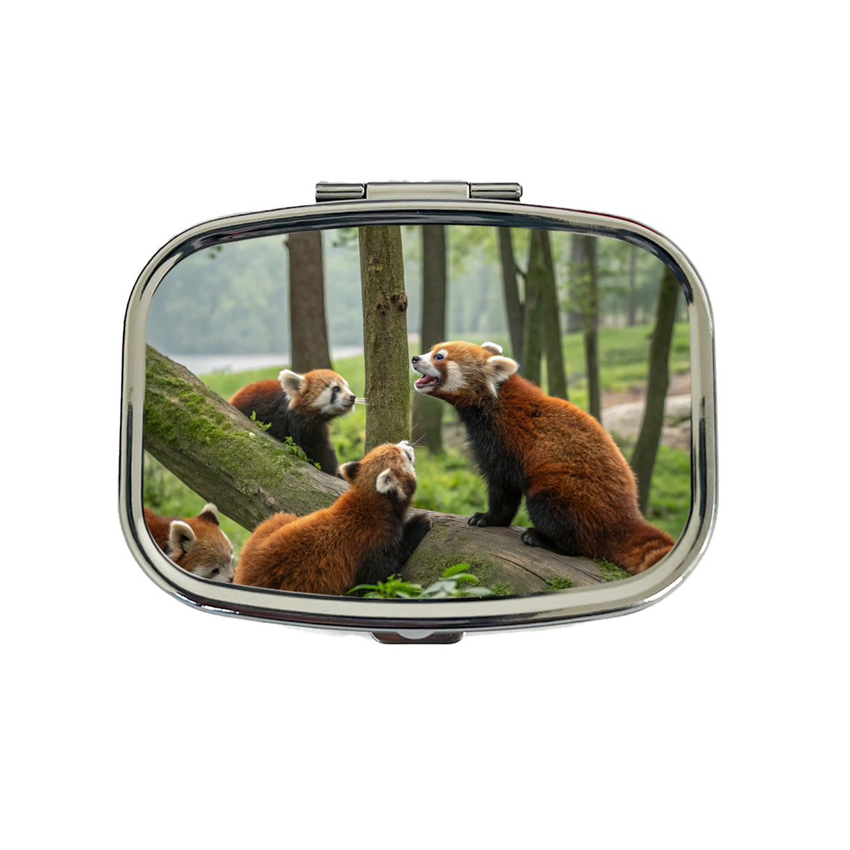 Bunch Of Red Pandas Travel Pill Box Case