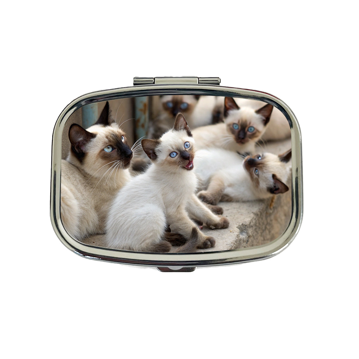 Bunch Of Siamese Cats Travel Pill Box Case