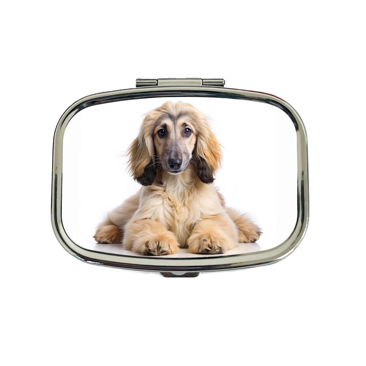 Afghan Hound Dog Puppy Photo Travel Pill Box Case