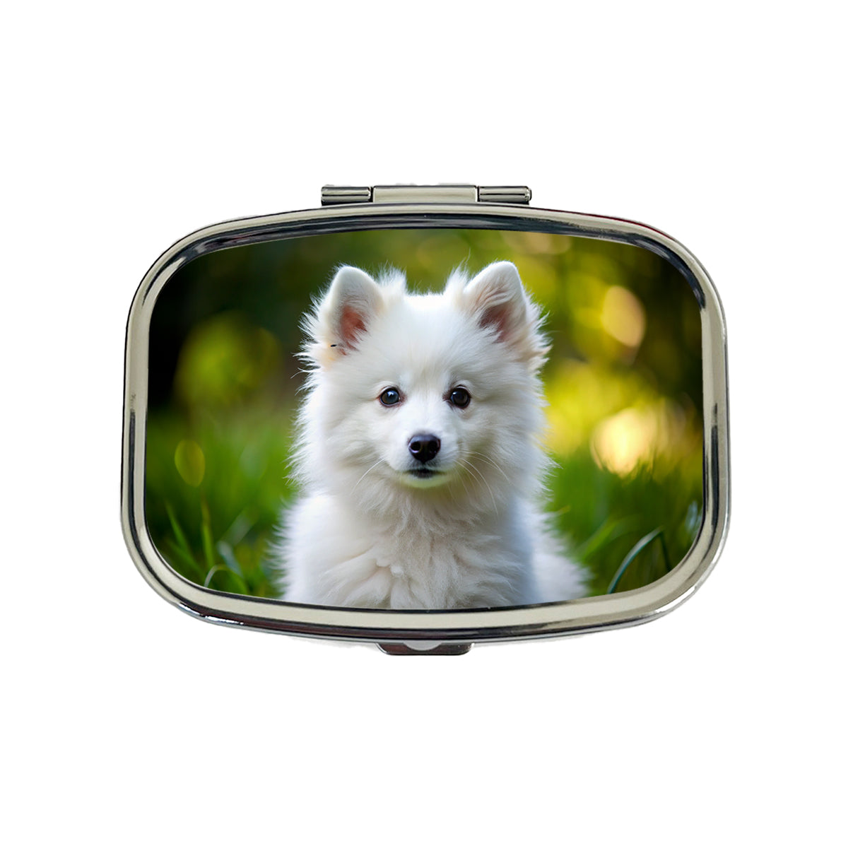 American Eskimo Dog Puppy Photo Travel Pill Box Case