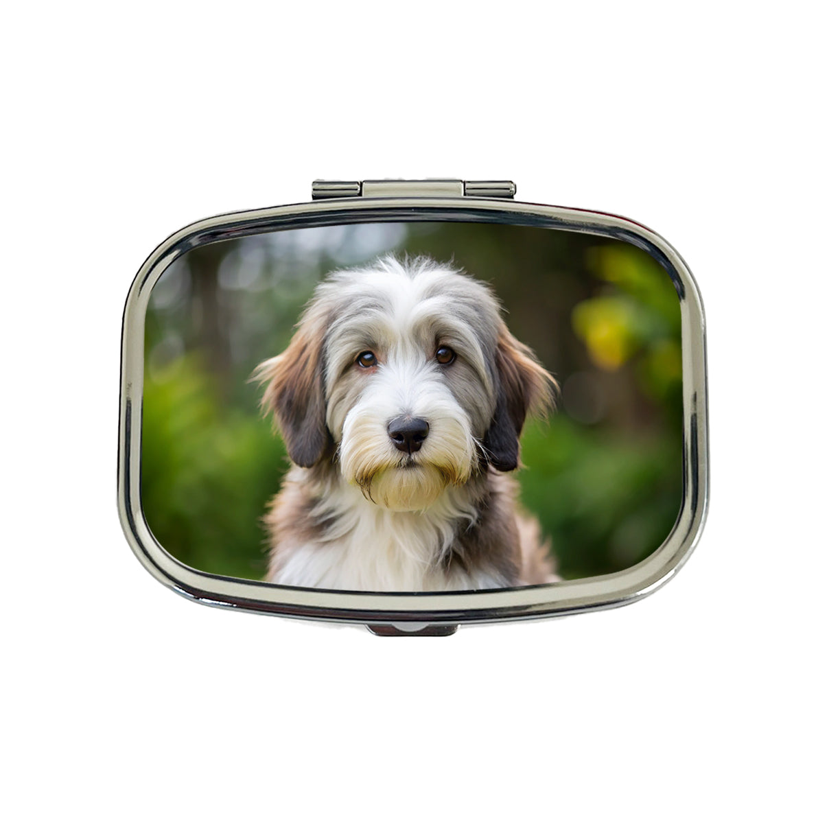Bearded Collie Dog Puppy Photo Travel Pill Box Case
