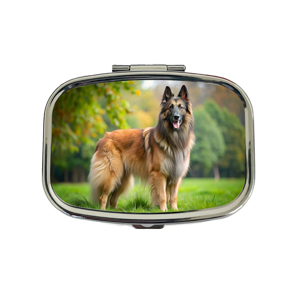 Belgian Tervuren Dog Photo Travel Pill Box Case