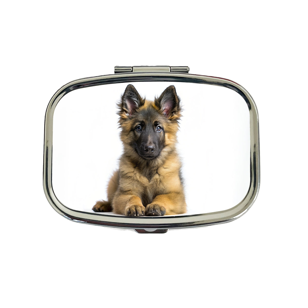 Belgian Tervuren Dog Puppy Photo Travel Pill Box Case