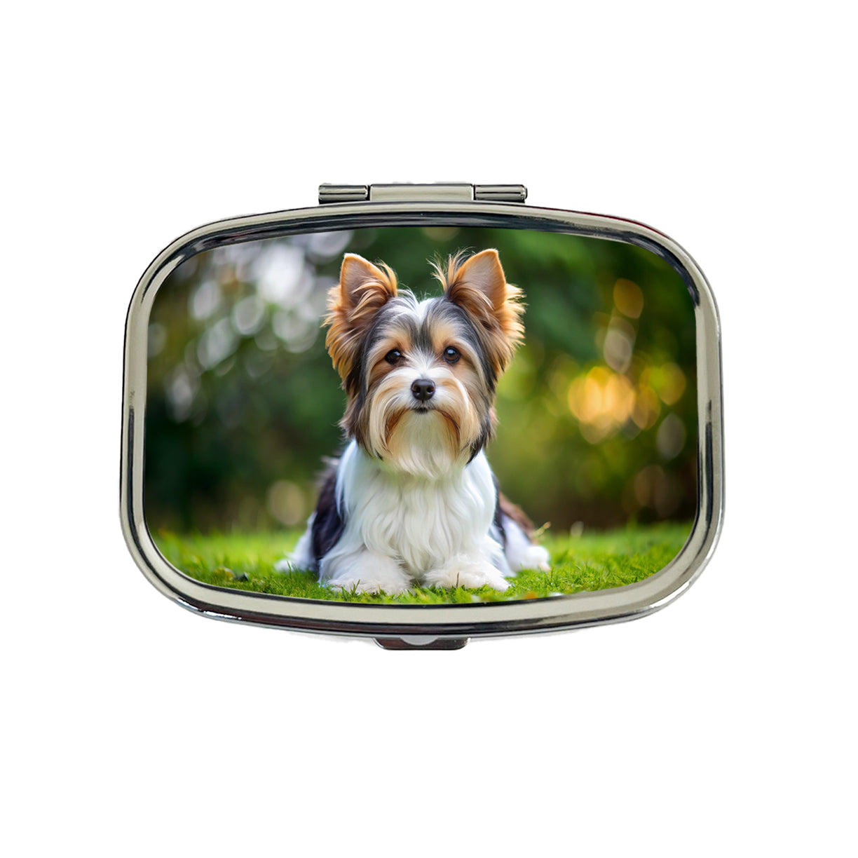 Biewer Terrier Dog Photo Travel Pill Box Case
