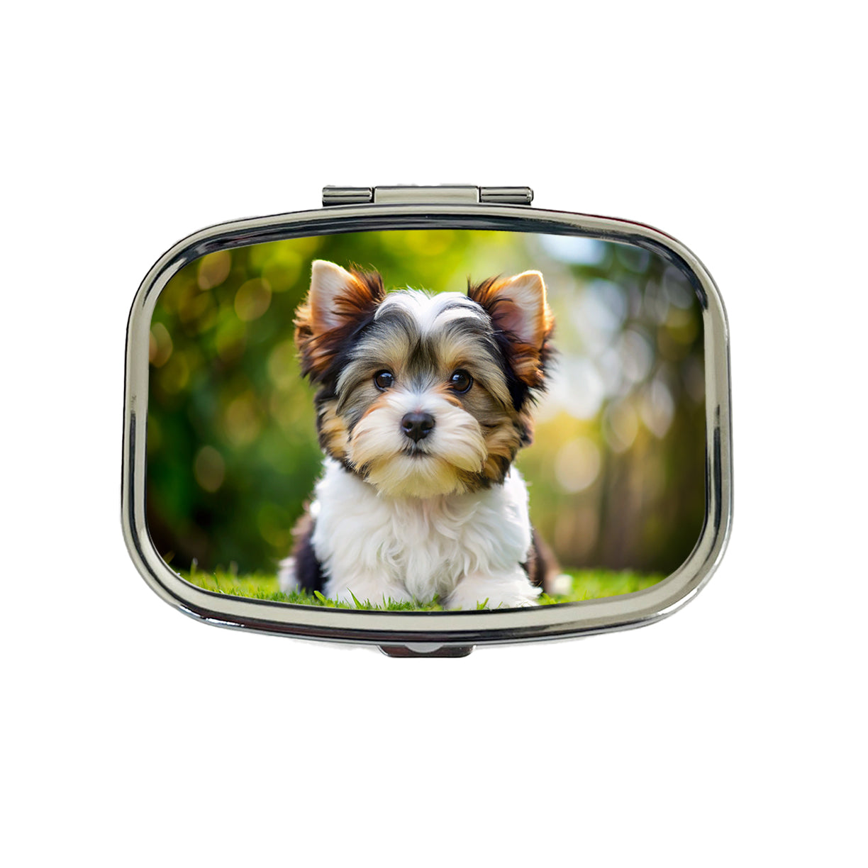 Biewer Terrier Dog Puppy Photo Travel Pill Box Case