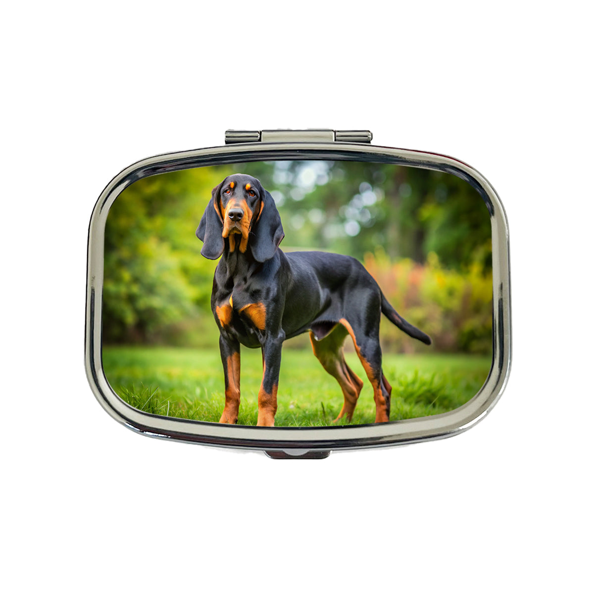 Black And Tan Coonhound Dog Photo Travel Pill Box Case