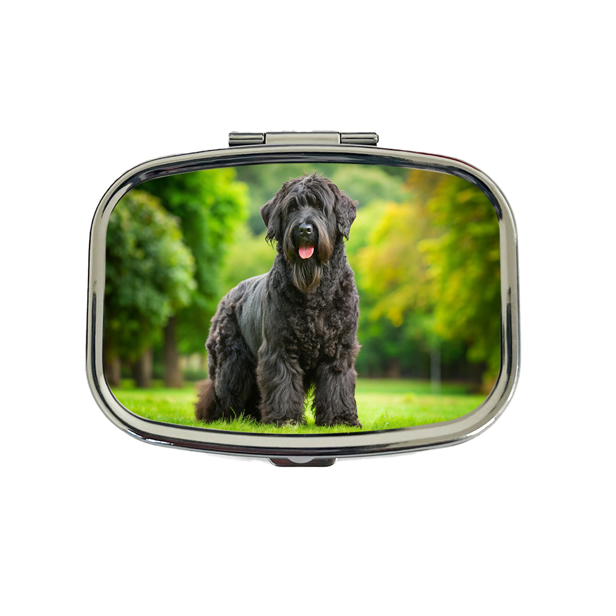 Black Russian Terrier Dog Photo Travel Pill Box Case