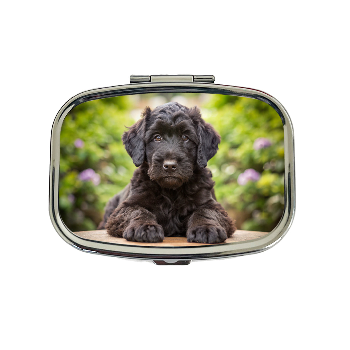 Black Russian Terrier Dog Puppy Photo Travel Pill Box Case
