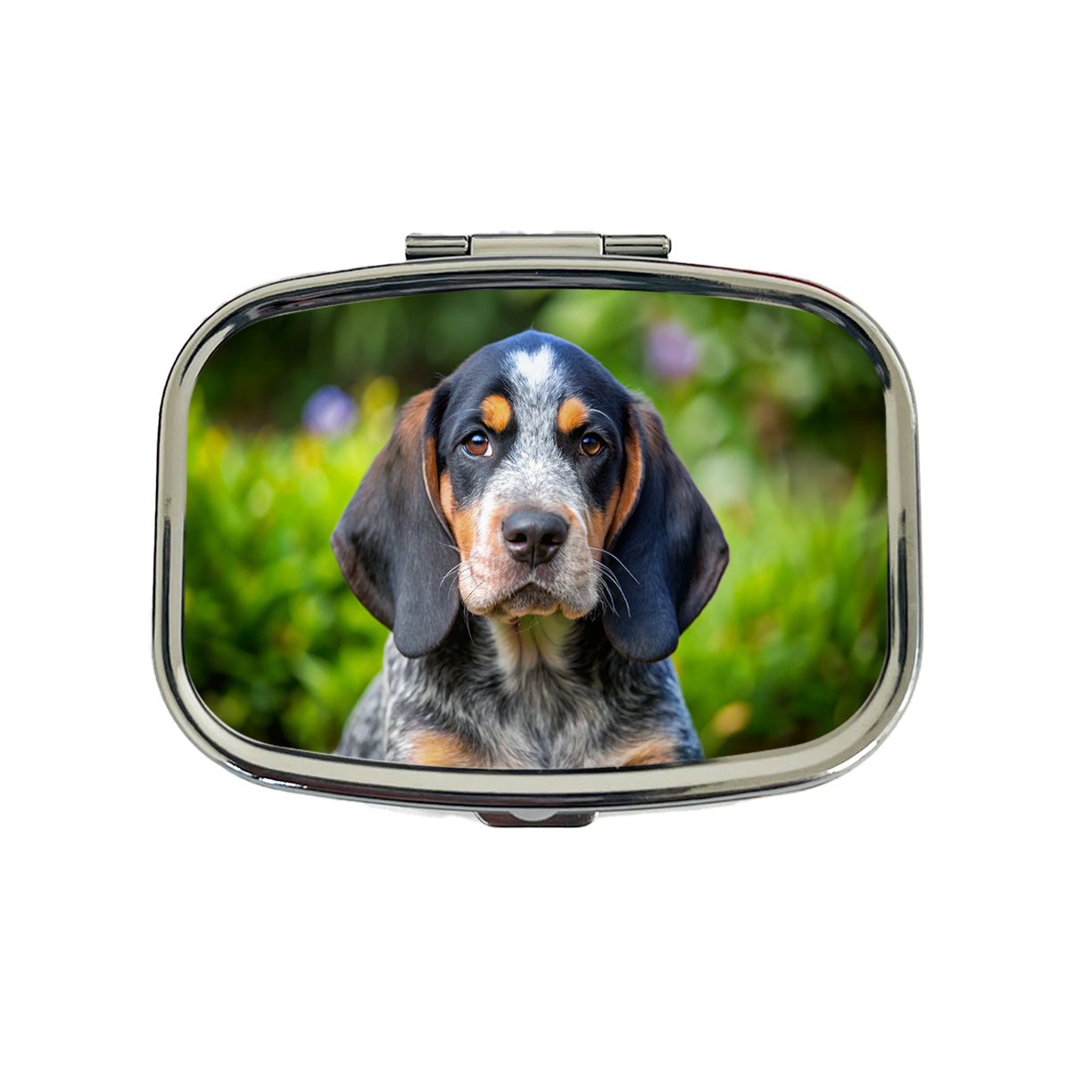 Bluetick Coonhound Dog Puppy Photo Travel Pill Box Case