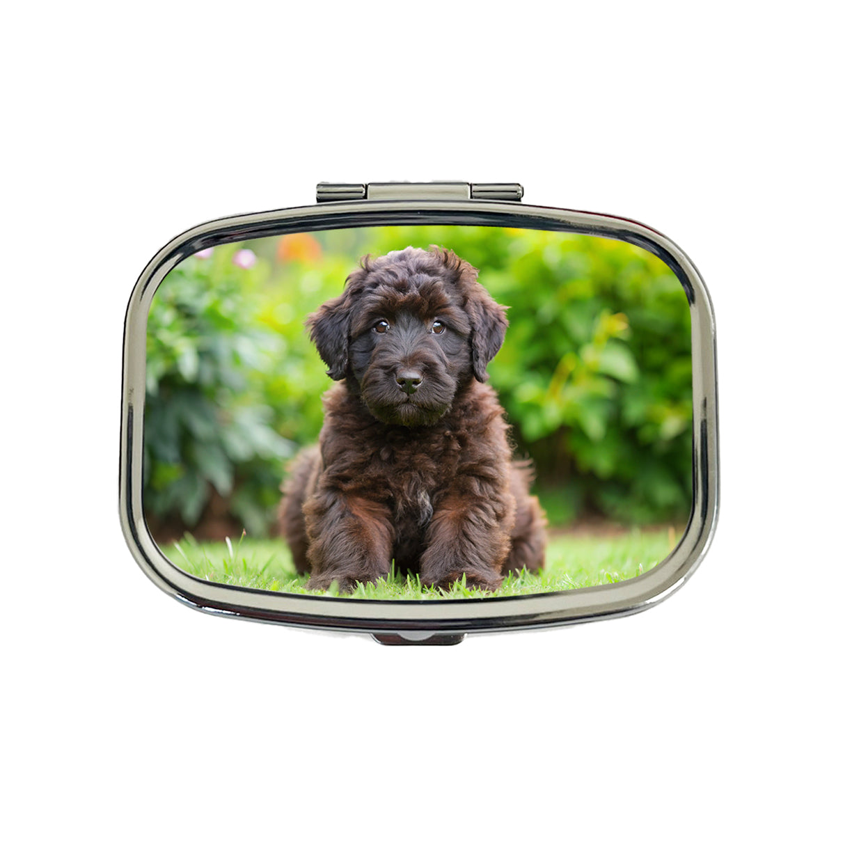 Bouviers Des Flandres Dog Puppy Photo Travel Pill Box Case