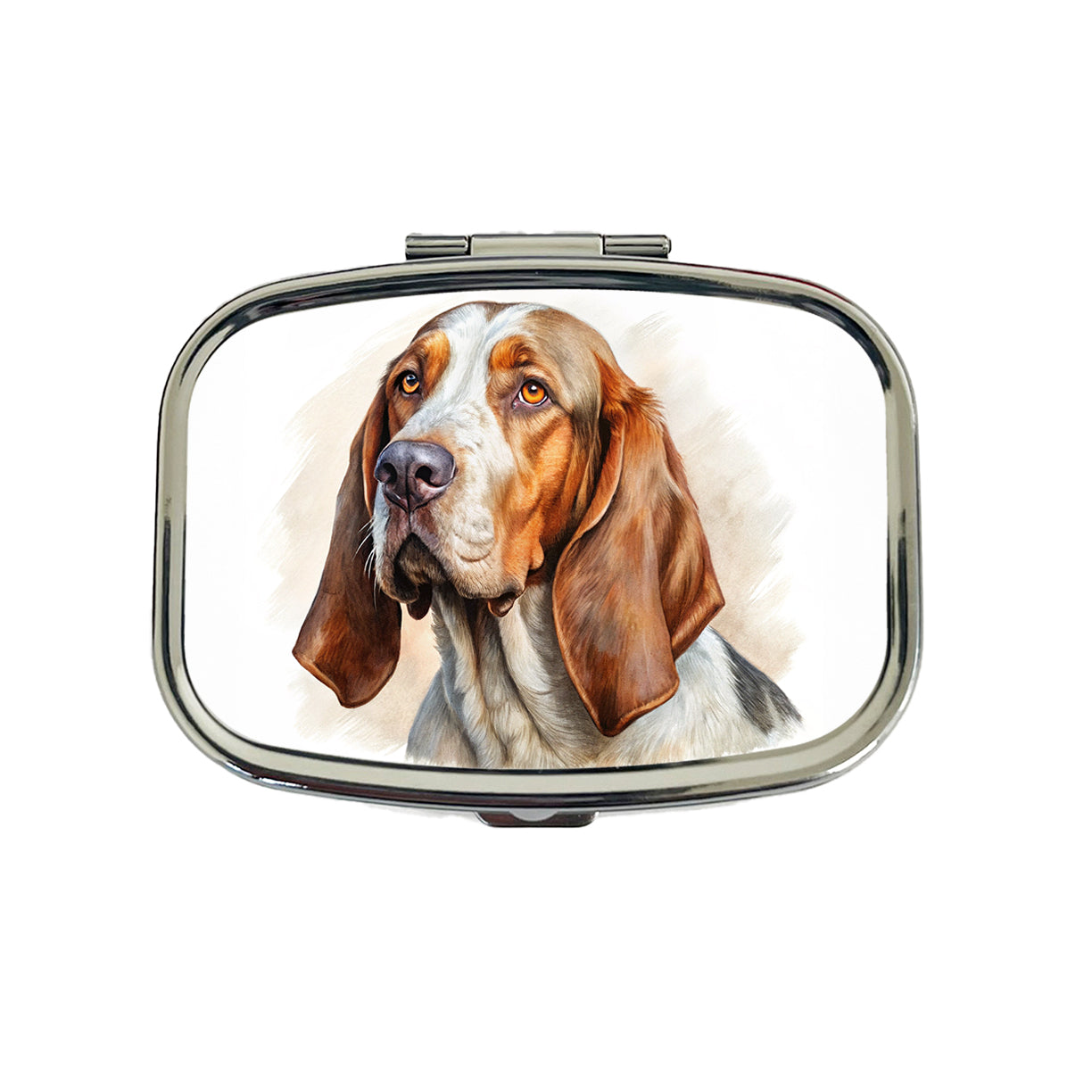 Bracco Italiano Dog Illustration Travel Pill Box Case